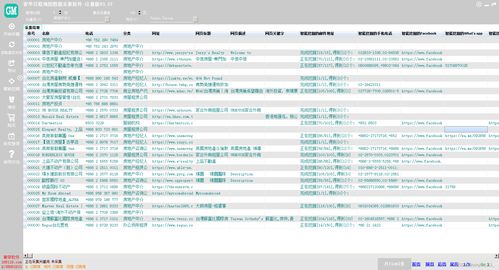 谷歌地圖商家數(shù)據(jù)采集與企業(yè)業(yè)務(wù)系統(tǒng)定制 數(shù)字化時(shí)代的企業(yè)雙引擎